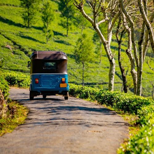 Sri Lanka, met de TukTuk door de theeplantages