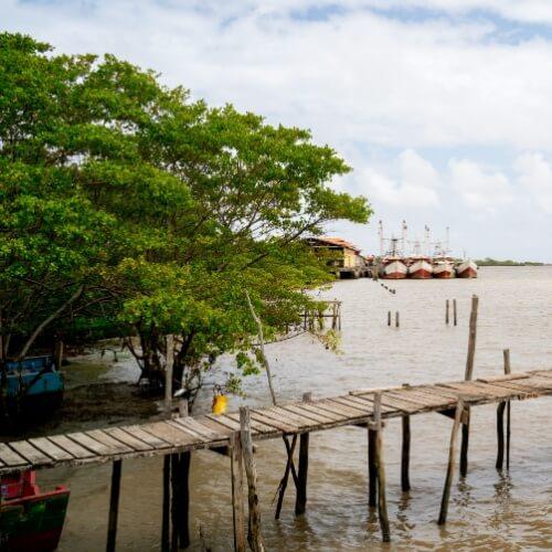 Nieuw Nickerie, Suriname