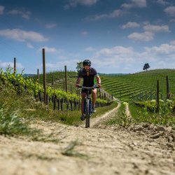 Stellenbosch, Bikes'n Wines