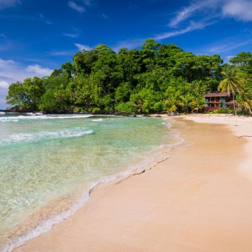 Kikkerstrand in Bocas del Toro