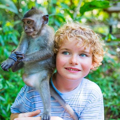 Jongen in Apenbos Ubud