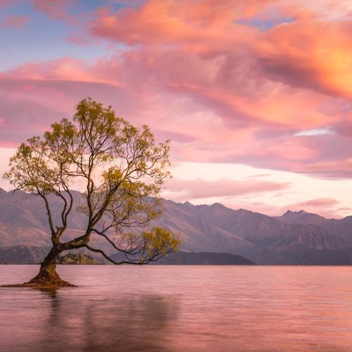 Wanaka