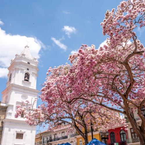 Panama-Stad