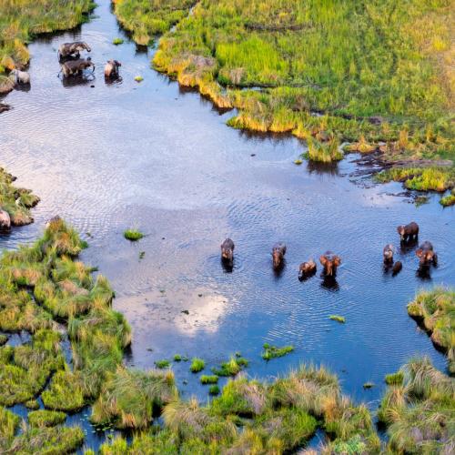 Okavango Delta