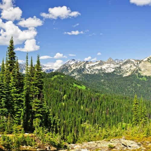 Mount Revelstoke National Park