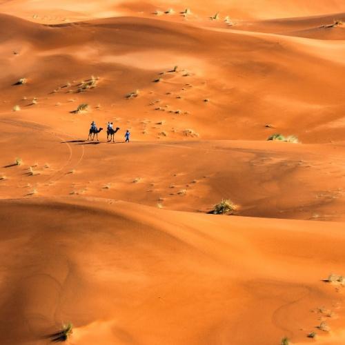 Zandduinen Erg Chebbi