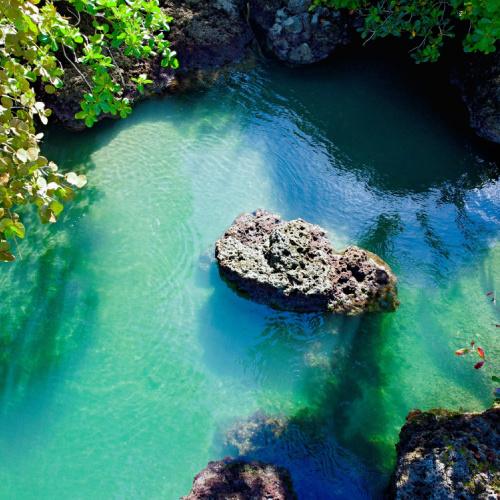 Cahuita