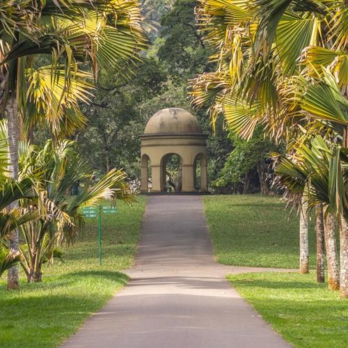Sri Lanka, Botanische tuin in Kandy
