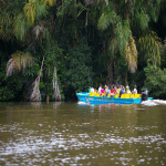 Tortuguero