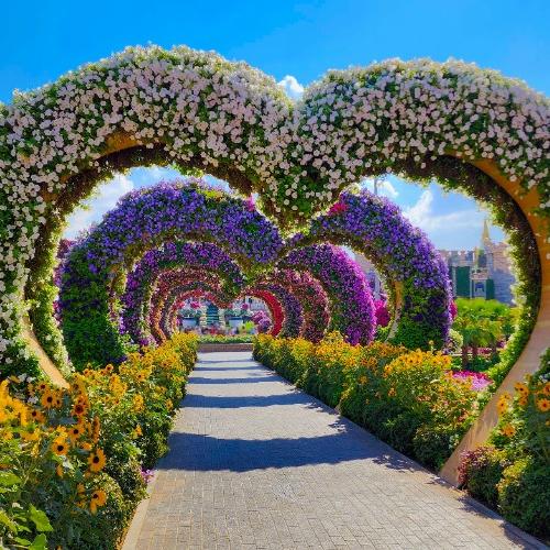  Dubai Miracle Garden