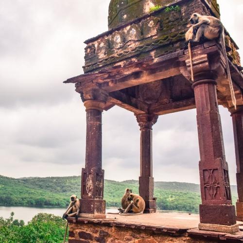 Ranthambore Nationaal Park