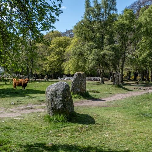 Clava Cairns 