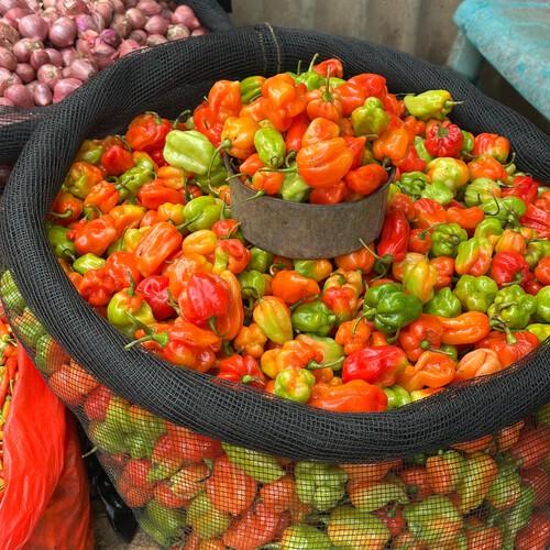 Katokon, Toraja's speciale Chili