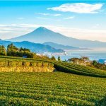 Shimizu Japan