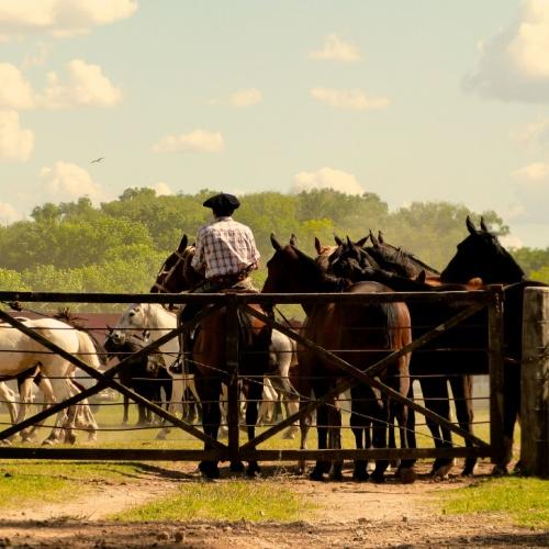 San Antonio de Areco