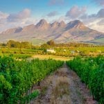 Stellenbosch