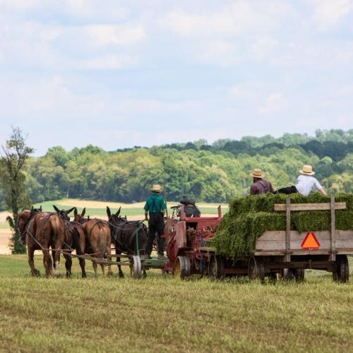 Pennsylvania, Amish Country