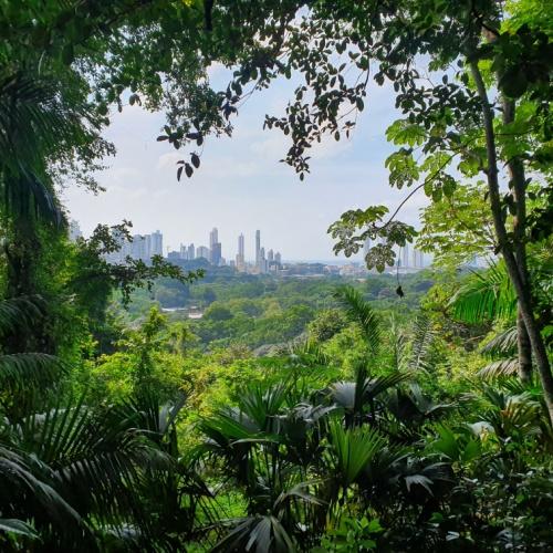 Zicht op Panama-Stad