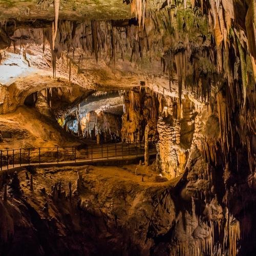 De grotten van Postojna
