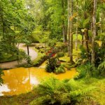 Terra Nostra Garden