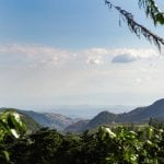 Monteverde