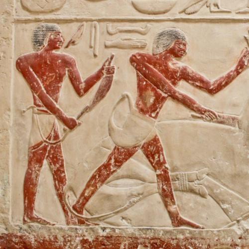 Egyptische hiërogliefen