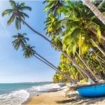 Strand van Phan Thiet met palmbomen