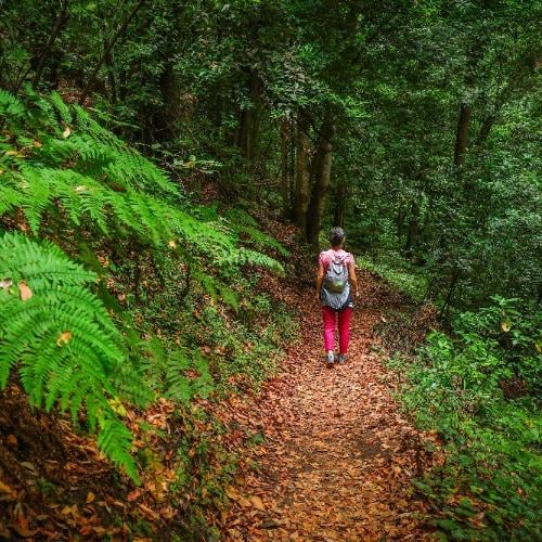Wandeling door  Park Galicica