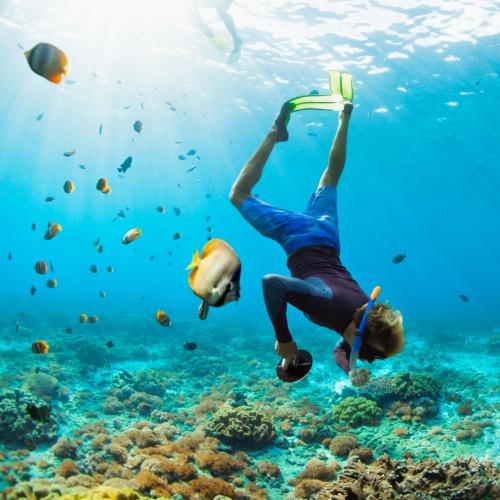 Snorkelen bij Nusa Lembongan 