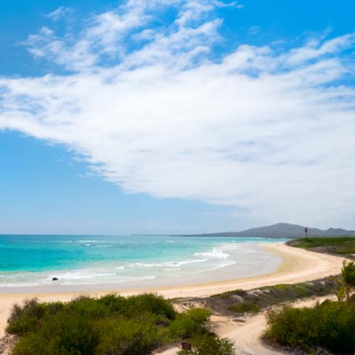 Isabela, Galápagos, strand
