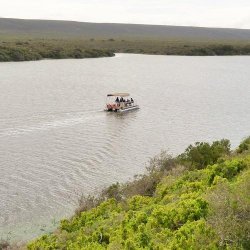 De Hoop Nature Reserve - Eco Cruise Experience