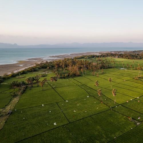 Rijstvelden bij het strand, Kupang