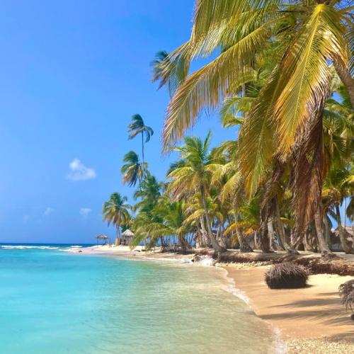Starfish Beach Isla Colon