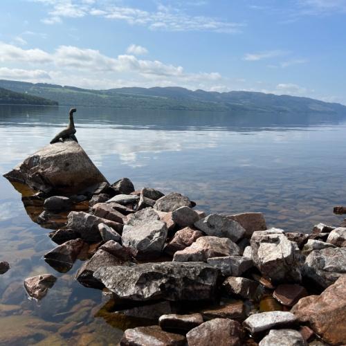 Nessie