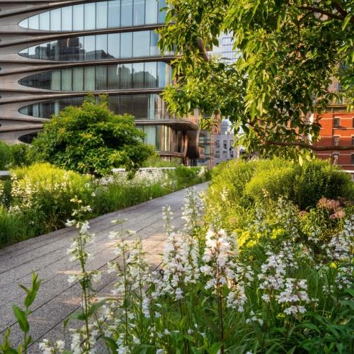De high line promenade