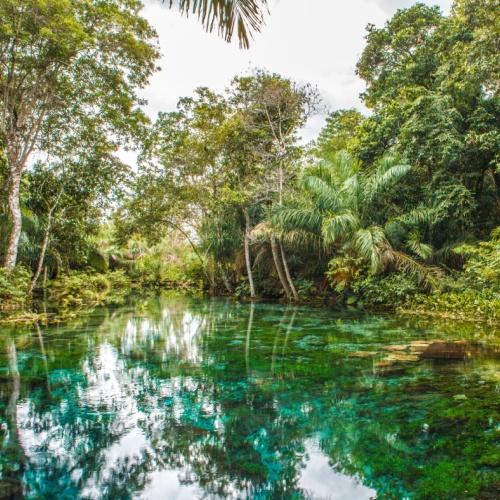 Mato Grosso do Sul