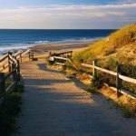 Strand Cape Cod