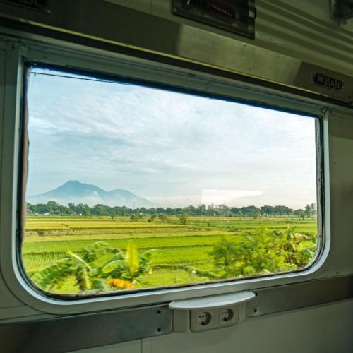 Uitzicht vanuit trein