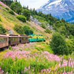 treinrit met de White Pass Railroad, Skagway