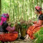Sapa, Hmong dames