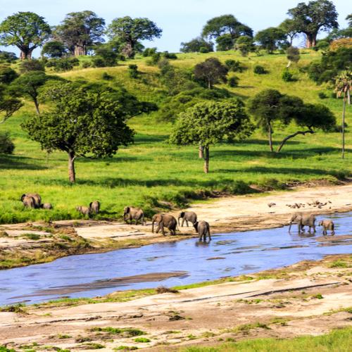 Serengeti National Park