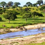 Serengeti Nationaal Park