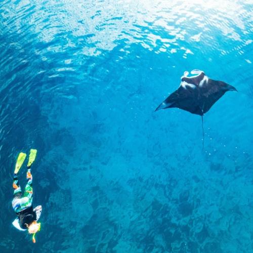 Snorkelen Nusa Penida