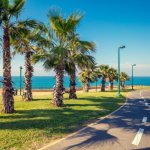 Netanya