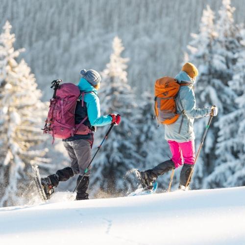 Wandelen in de sneeuw