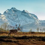 Noorwegen