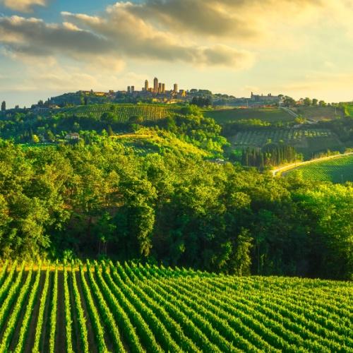 Landschap rondom San Gimignano