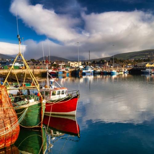 Dingle, haven