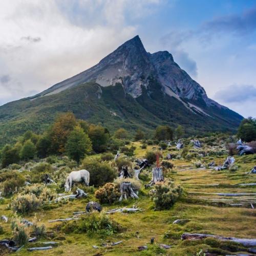 Tierra del Fuego Nationaal Park