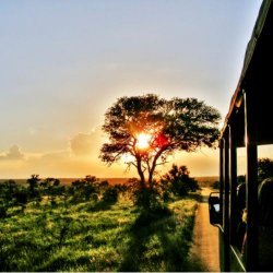 Addo - Addo zonsopkomst safari